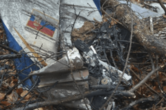 Pilotkinja nije imala dovoljno obuke, tokom turbulencije vrištala