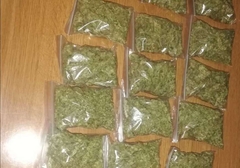 Akcija Kasper: Uhapšeno šest osoba, zaplijenjeno tri kilograma marihuane