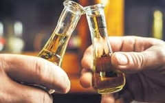 DA LI RAKIJA UBIJA VIRUSE I BAKTERIJE?! Stvarnost ili mit?
