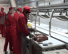 Poljoprivrednici idu u proteste, traže smjenu Košarca!