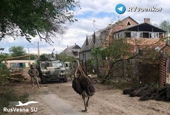 UŽIVO /VIDEO/ Ukrajina:Ubili smo preko 29000 Rusa; Hibridni rat;"RUSI U ZEMLJI ČUDA"; Kadirov likuje;Američka karta borbi