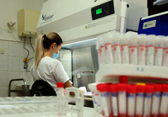 Korona virus u FBiH se ne predaje: Preminule dvije osobe, zaražene još 43