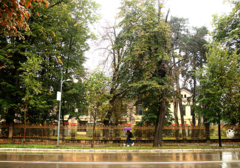 OBJAVLJENA PROGNOZA ZA NOVEMBAR Evo kada se u BiH očekuje PRVI SNIJEG