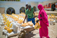 U Sudanu za sedam dana umrlo 172 ljudi, u pitanju je bolest koja može ubiti za nekoliko sati