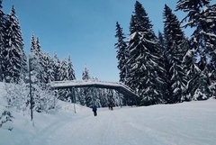Olimpijski centar "Jahorina": Sve spremno za sezonu