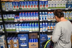 Mlijeko i jogurt jeftiniji u Sloveniji nego u BiH