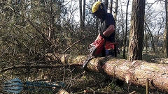 Manja proizvodnja i prodaja šumskih sortimenata