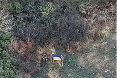 Ukrajina u potpunosti vratila kontrolu nad selom u Donjeckoj oblasti, vojnici postavili zastavu