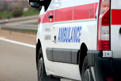 Horor u Srbiji: Pit bul izujedao ženu i bebu