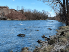 I danas sunčano i toplo