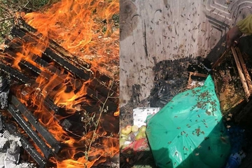 U kontejner u Vogošći bačene pčele, morala reagovati i veterinarska stanica