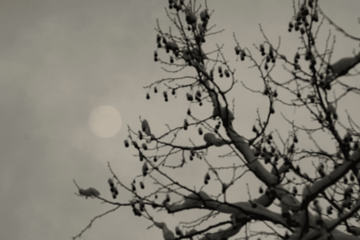 ZIMA SE NE ŠALI Sutra hladno sa sunčanim periodima