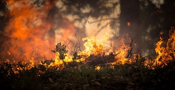 Policija traga za piromanom: Palio rastinje, pa izgorjela kuća