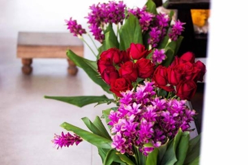 Napravite domaću prihranu od KVASCA za bujno cvjetanje i lijepo lišće