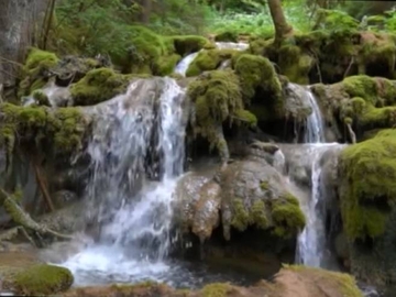 Srpska dobija još dva zaštićena prostora: Pećinu Mokranjska Miljacka i stanište Gostilj (VIDEO)