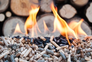 Osim rasta cijene, prijeti i nestašica peleta ako vlast ne zabrani izvoz