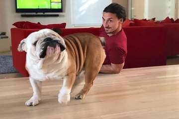 Ibrahimović otkrio ko mu je najbolji prijatelj i zašto je "izbrisao" drugove iz djetinjstva