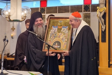 SPC od rimokatoličke crkve dobila hram u Beču