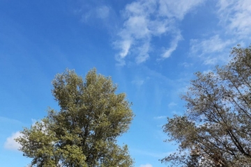 Vrijeme sunčano, temperatura vazduha do 29 stepeni