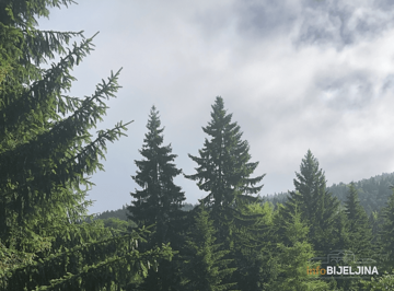 Topao početak februara,iznadprosječne temperature, na jugu do 16 stepeni