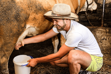 “NEMA GRADA BEZ SELA” Stanivuković muze krave i kupi sijeno