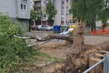Nevrijeme u Hrvatskoj: Snažan vjetar lomio stabla