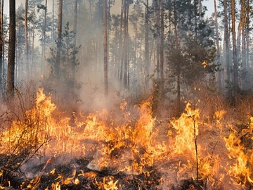 Hidrometeoroški zavod RS: Povećan rizik od nastanka požara