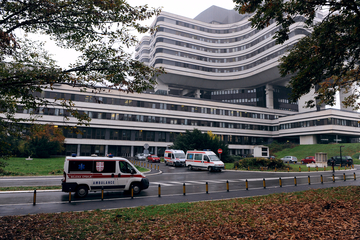 U teškom stanju osam pacijenata na VMA zbog trovanja gljivama