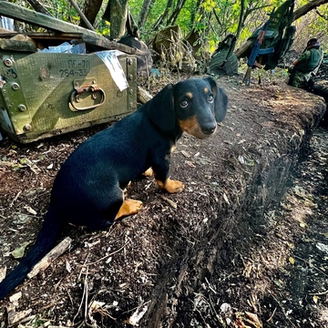 UŽIVO/VIDEO/ "Pobjeglo im pola brigade"; 📷Ukrajina otkrila plan Amerike;⚔️ U Soledaru trećina mobilisanih napustila front;💎 Ruski dijamanti „krvavi“