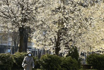 Danas uglavnom sunčano i vjetrovito, predveče kiša