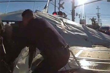 Pao avion, udario ga voz, pilota jedva spasili