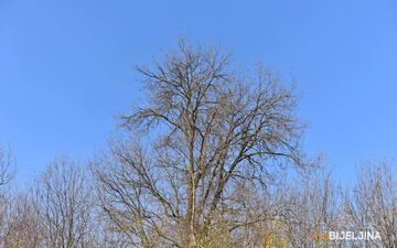 UGLAVNOM SUVO VRIJEME Sutra promjenljivo oblačno sa sunčanim periodima