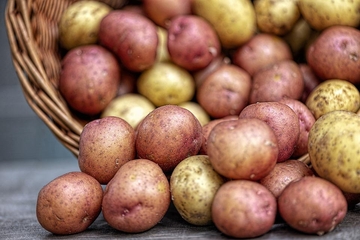 U Srpskoj kilogram krompira za godinu dana poskupio 50 odsto