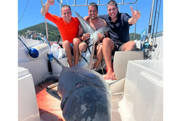 Kod Budve ulovljena plava ajkula teška skoro 200 kilograma