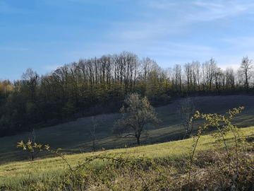 Sunčano i veoma toplo