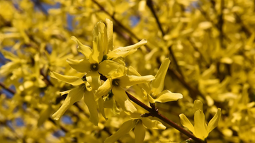 Da li zimsku garderobu da spremamo za odlaganje: Poznati meteorolog objavio prognozu do kraja marta