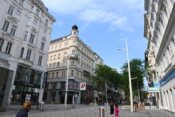 Među doseljenicima najviše Srba: Svaki treći Bečlija porijeklom stranac