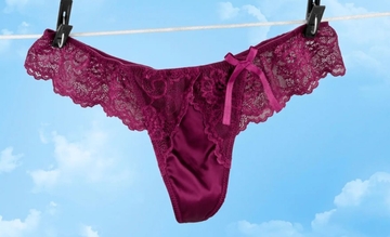 Znate li čemu služi mali džepić na ženskom donjem rublju?