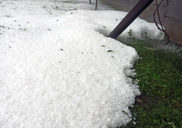 Šteta od leda u Milićima 1,1 milion KM, od toga na malinjacima 760.000 KM