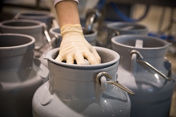 Mljekari traže povećanje otkupne cijene za 10 feninga