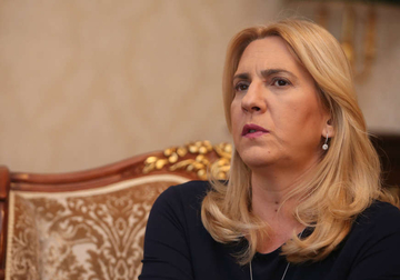 Cvijanović: Jadna je zemlja u kojoj pozivaju stranca da smijeni Dodika