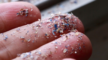 Mikroplastika prvi put pronađena u ljudskoj krvi