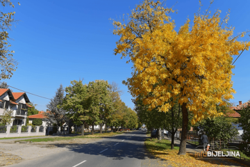 OBJAVLJENA PROGNOZA DO SRIJEDE Evo kolike se temperature očekuju, mraz samo na planinama