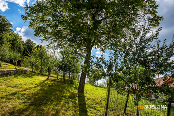 PRAVO LJETNJE VRIJEME Sutra u BiH sunčano i toplo, temperatura do 31 stepen