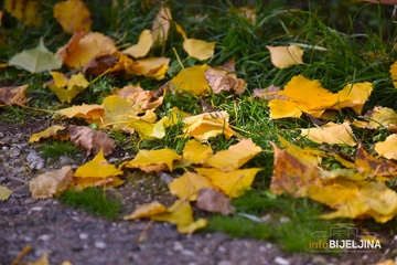 PRAVI JESENJI DAN Sutra u BiH slaba kiša, temperatura do 19 stepeni