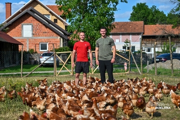 Jedinstvena farma u BiH: Imaju 600 koka nosilja, jaja prodaju i na društvenim mrežama (FOTO)