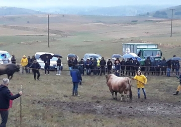 Kočićev zbor snima televizija iz Minhena: Evo ko je medijski sponzor najvećeg narodnog sabora u Srpskoj (FOTO)