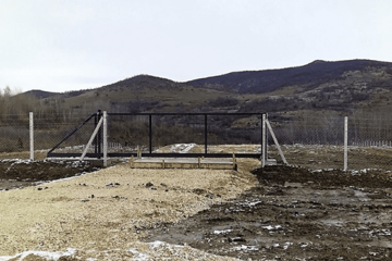 Na groblju kućnih ljubimaca za godinu sahranjeni samo papagaj i mačka