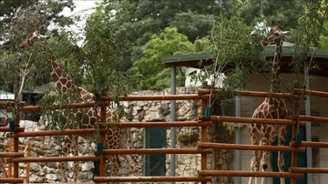 Dojava o bombi u beogradskom Zoološkom vrtu