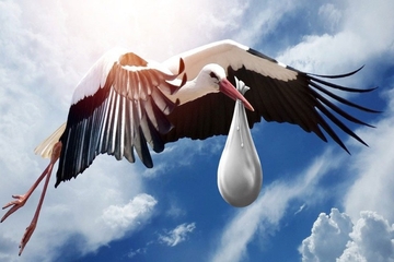 Plan da što više roda slijeće u Banjaluku